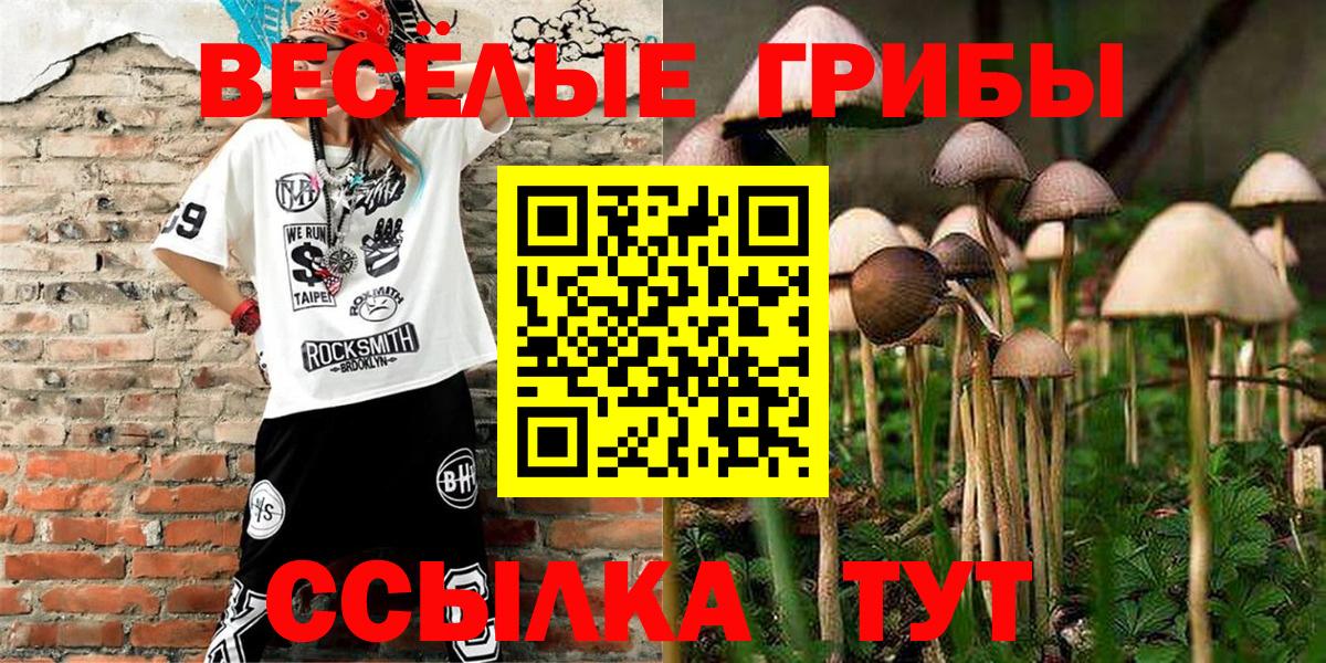 Псилоцибиновые грибы Psilocybine cubensis  Вход с VPN  Вольск 